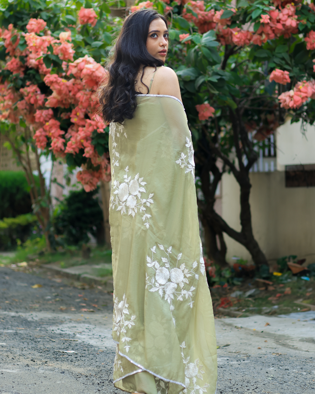 Organza Embroidered Saree