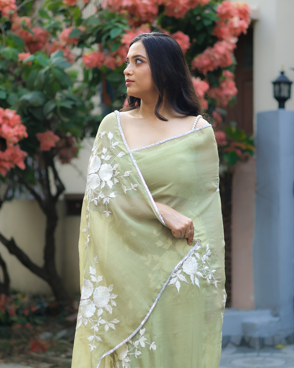 Organza Embroidered Saree