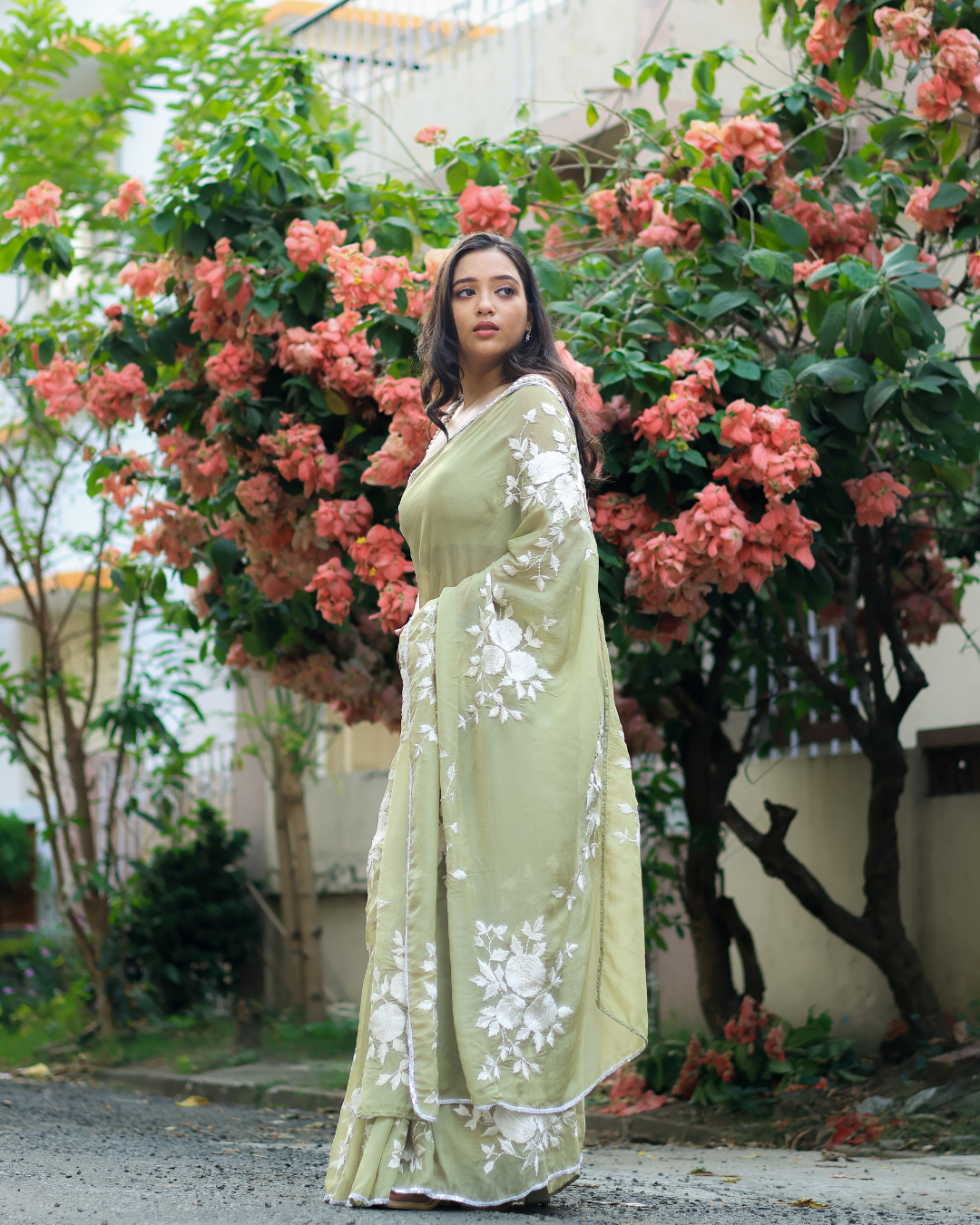 Organza Embroidered Saree