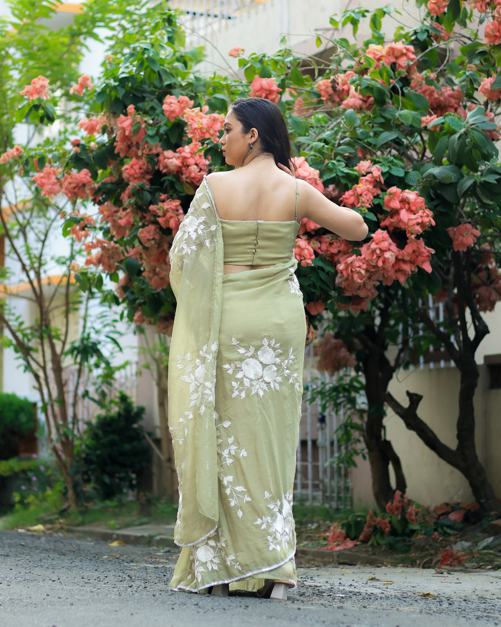 Organza Embroidered Saree