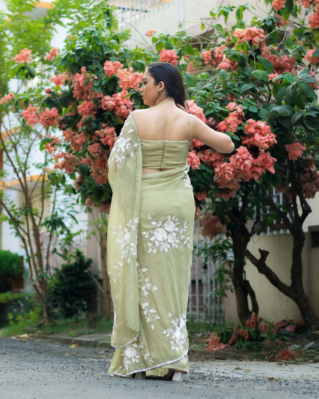 Organza Embroidered Saree