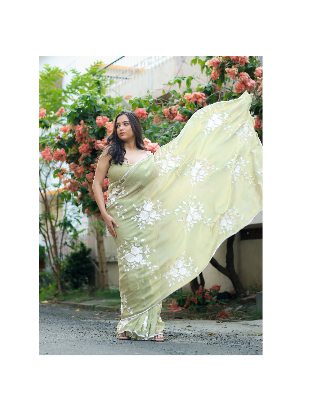 Organza Embroidered Saree
